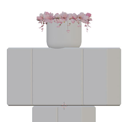 Pastel Wings